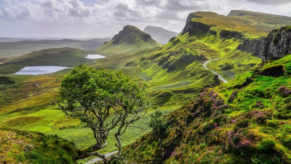A green landscape in Scotland.