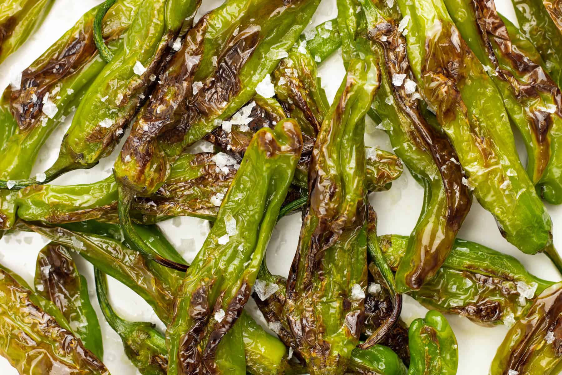 Shishito peppers that have been blistered covered in sea salt.