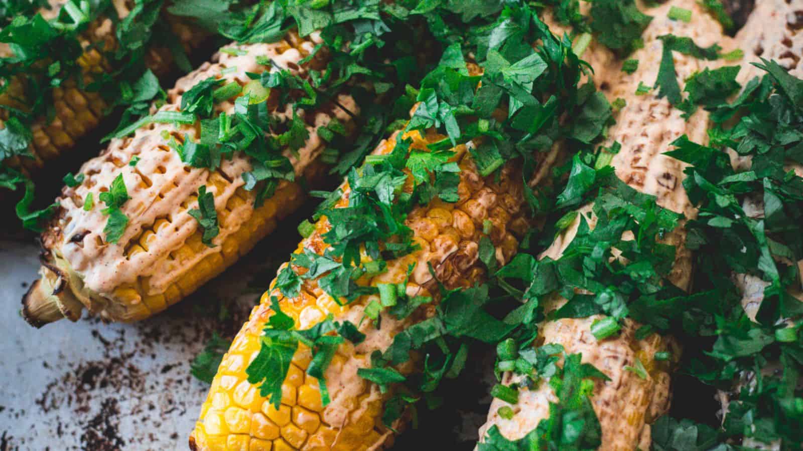 Close up of corn with spices and cilantro.