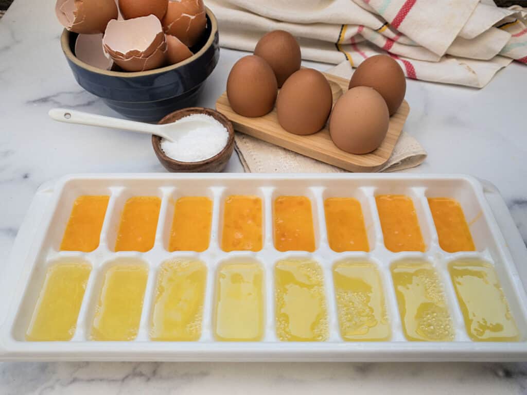 The ultimate guide to freezing eggs Tips and tricks