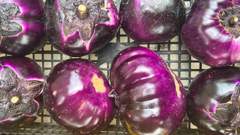 Several round, purple eggplants with shiny skins and some blemishes—perfect examples of low carb vegetables—are arranged on a black grid surface.