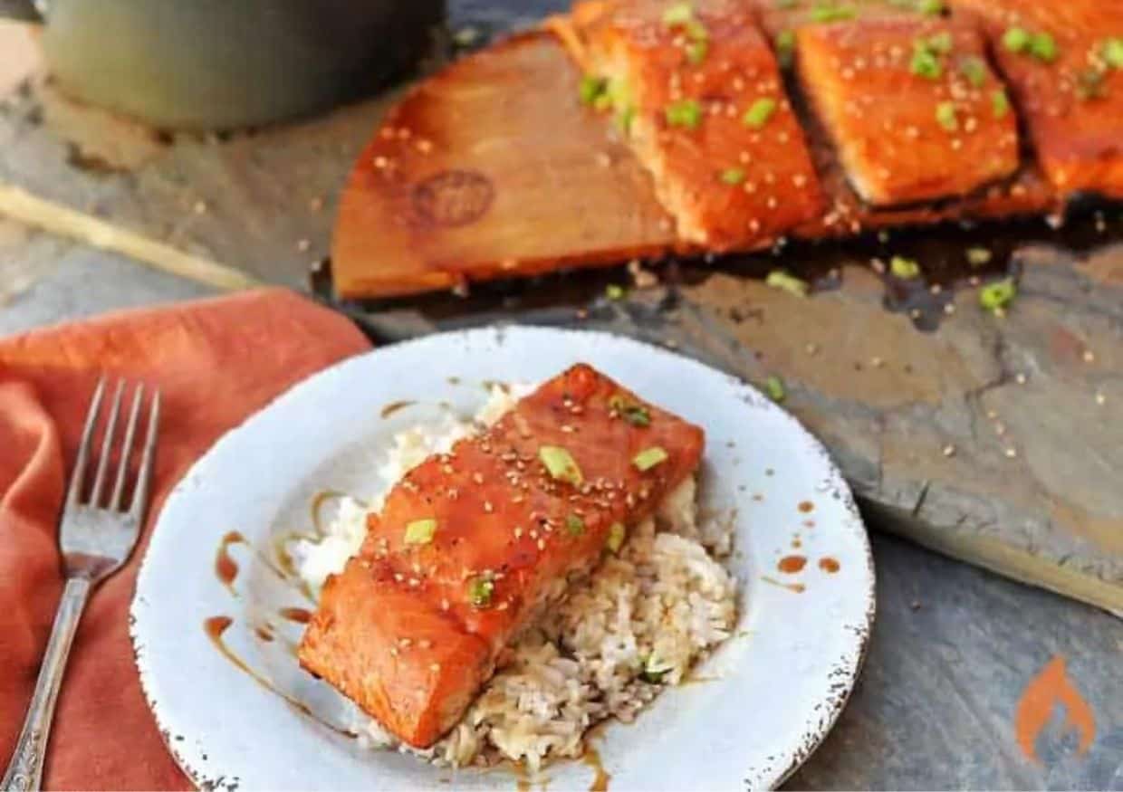 Salmon nestled onto a bed of rice.