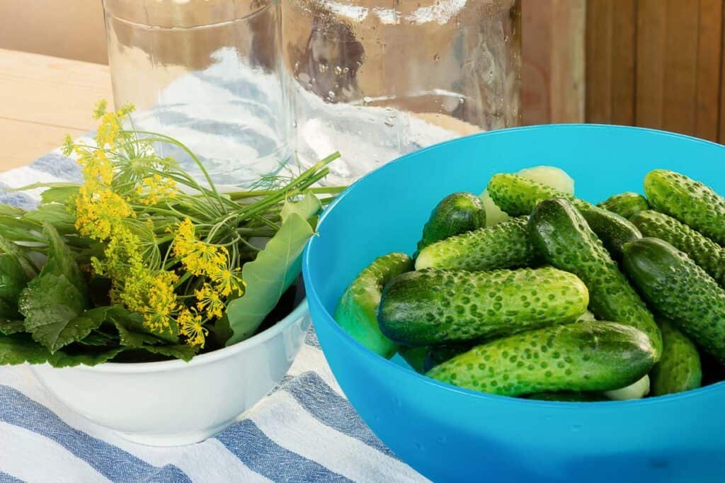 Cucumbers and fresh dill in bowls ready to make pickles.