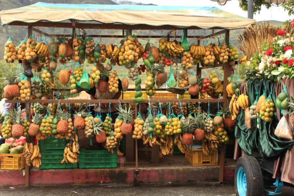 Fruits hanging in bags off a stall.