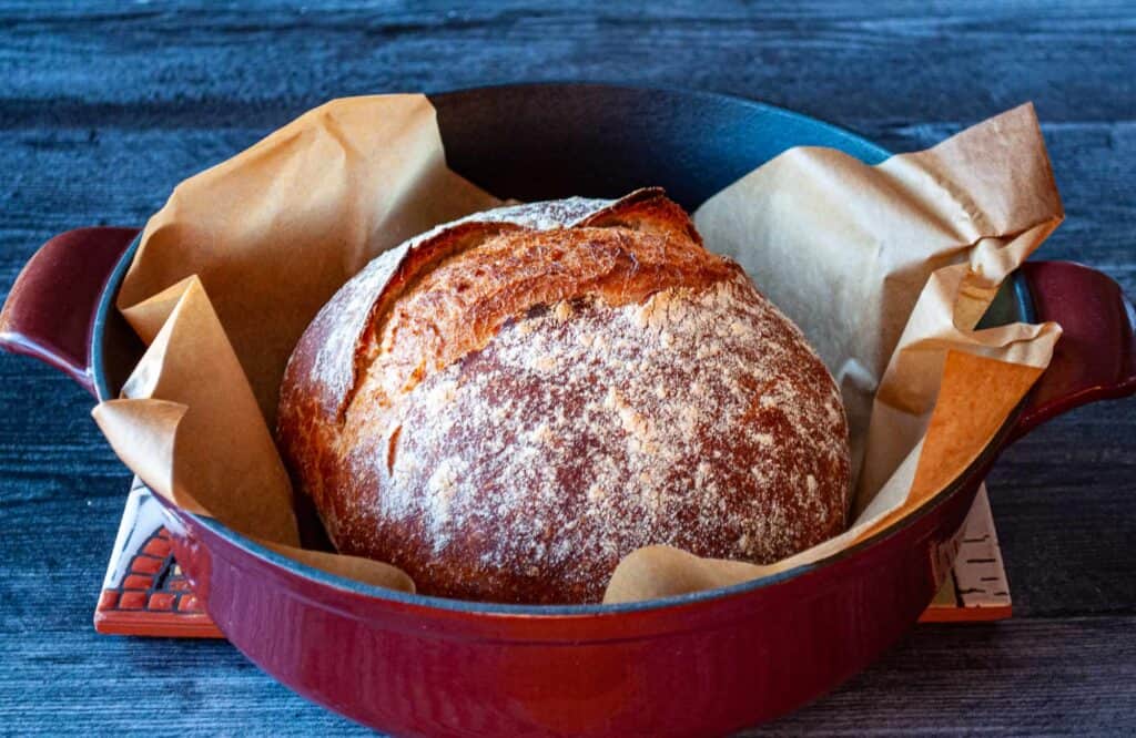 Quick Dutch Oven Bread in a dutch oven with parchment paper under it.