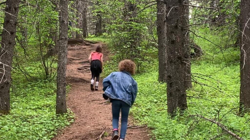 Children hiking a trail in the woods.