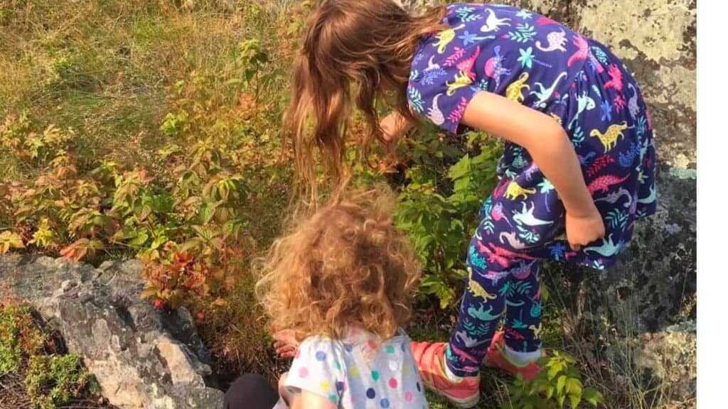 Children foraging for wild raspberries.