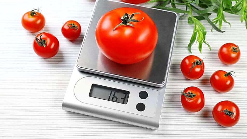 A large tomato is placed on a digital kitchen scale displaying 163 grams, surrounded by smaller tomatoes, fermenting supplies, and green leaves on a white surface.