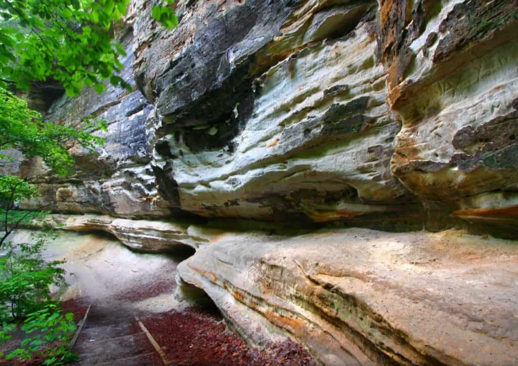 Steep stone cliff in a canyon of Starved Rock State Park in Illinois.