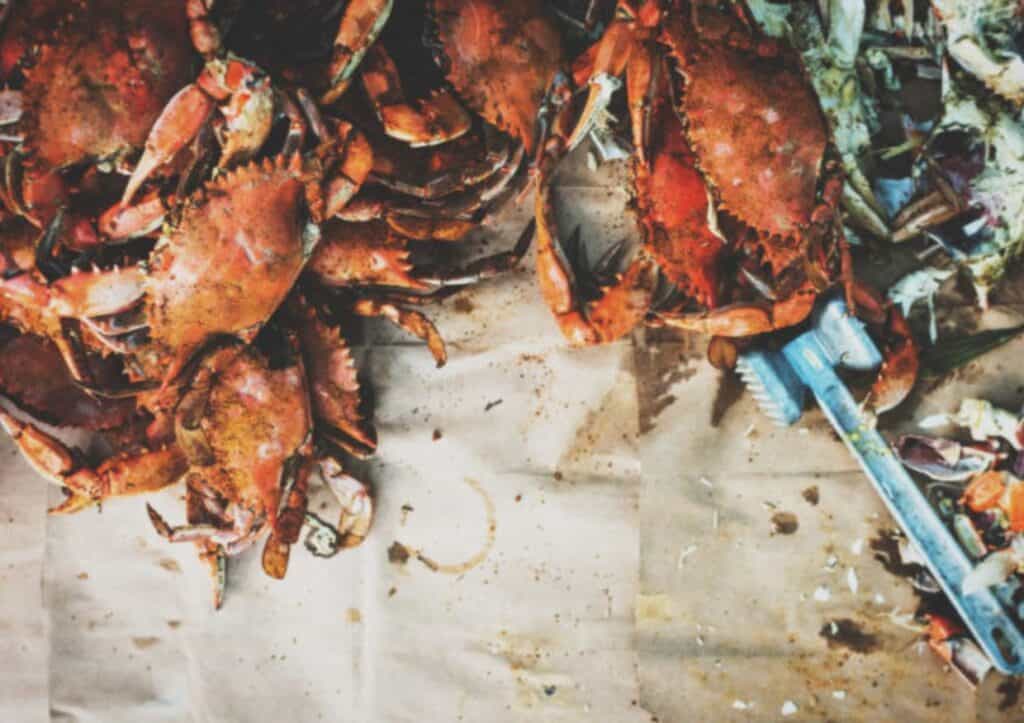Overhead shot of crabs on a table.