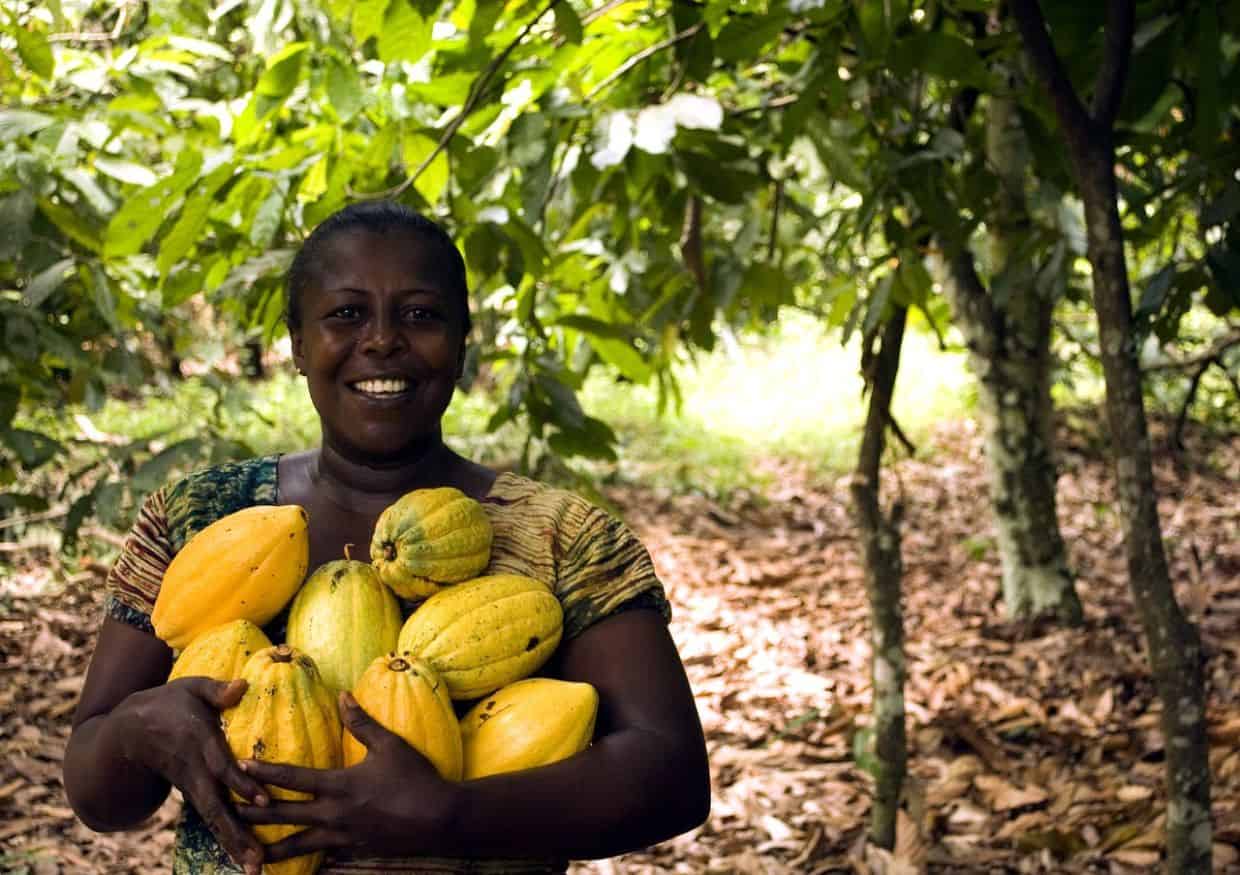 Lady with cocoa pods