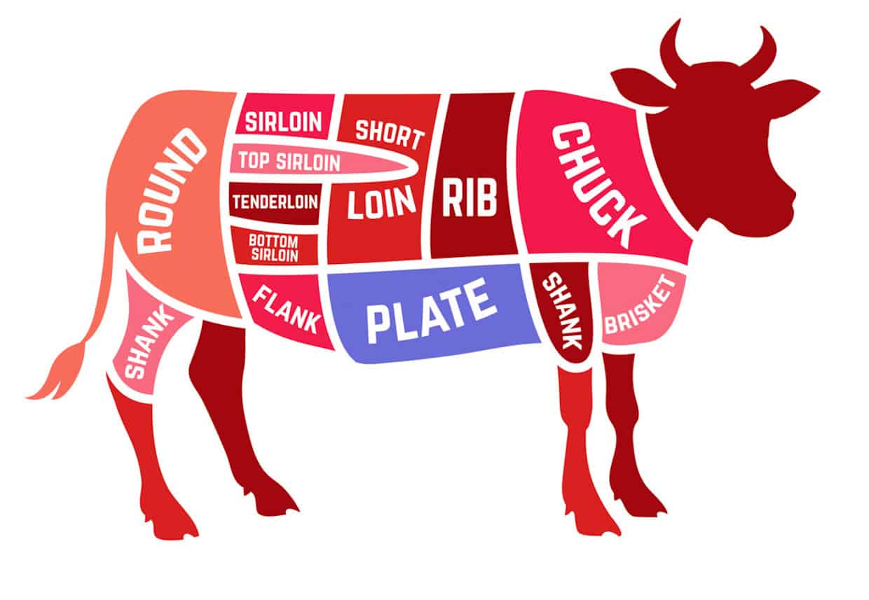 Cow diagram highlighting the plate section.