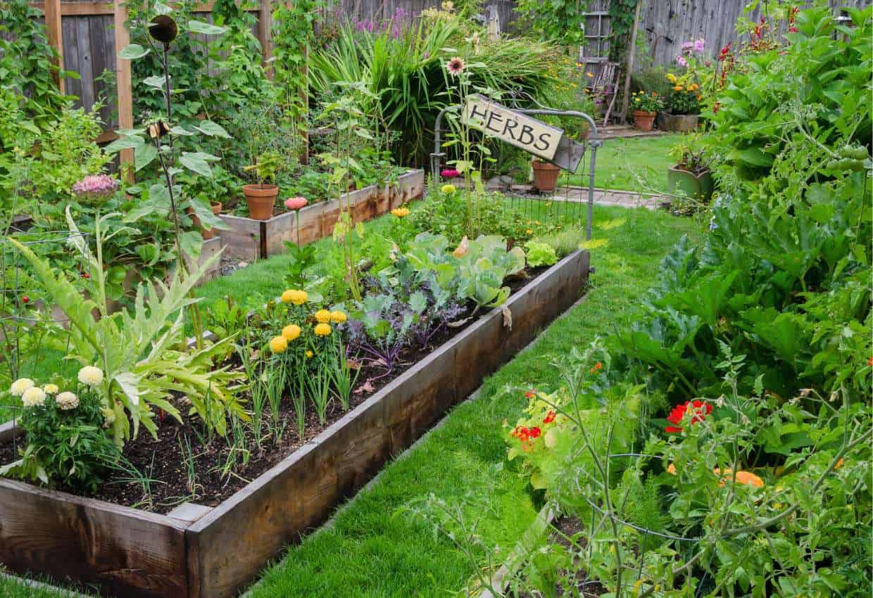 A large herb garden with a raised bed.