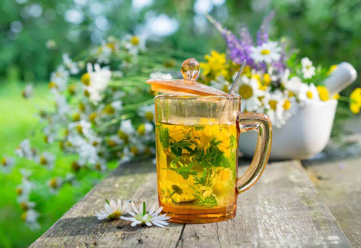 A glass tea pot filled with flowers resting on a wooden table in a garden.
