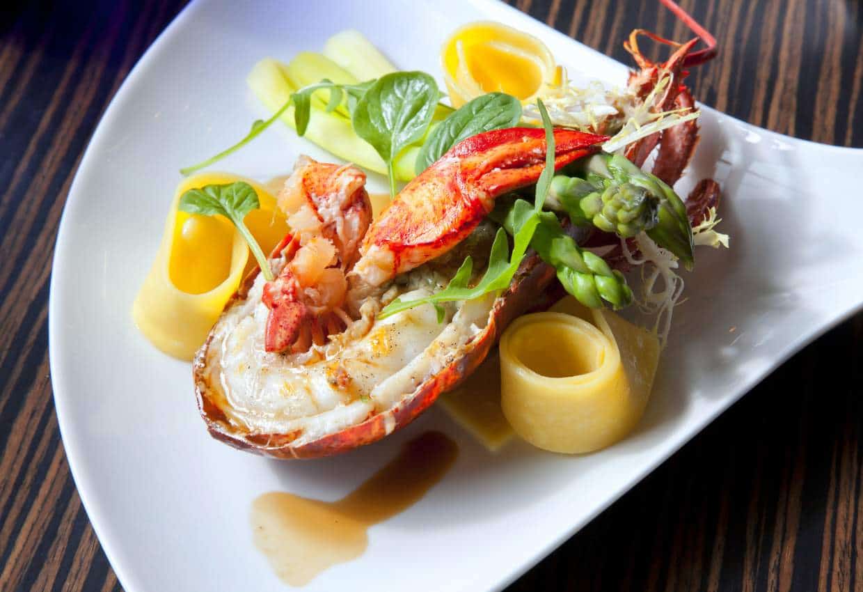 A white plate filled with a well-styled lobster dish.