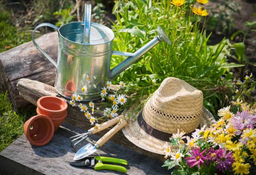A gardener's hat, watering can, gardening tools and flowers on a wooden table.