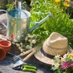 A gardener's hat, watering can, gardening tools and flowers on a wooden table.
