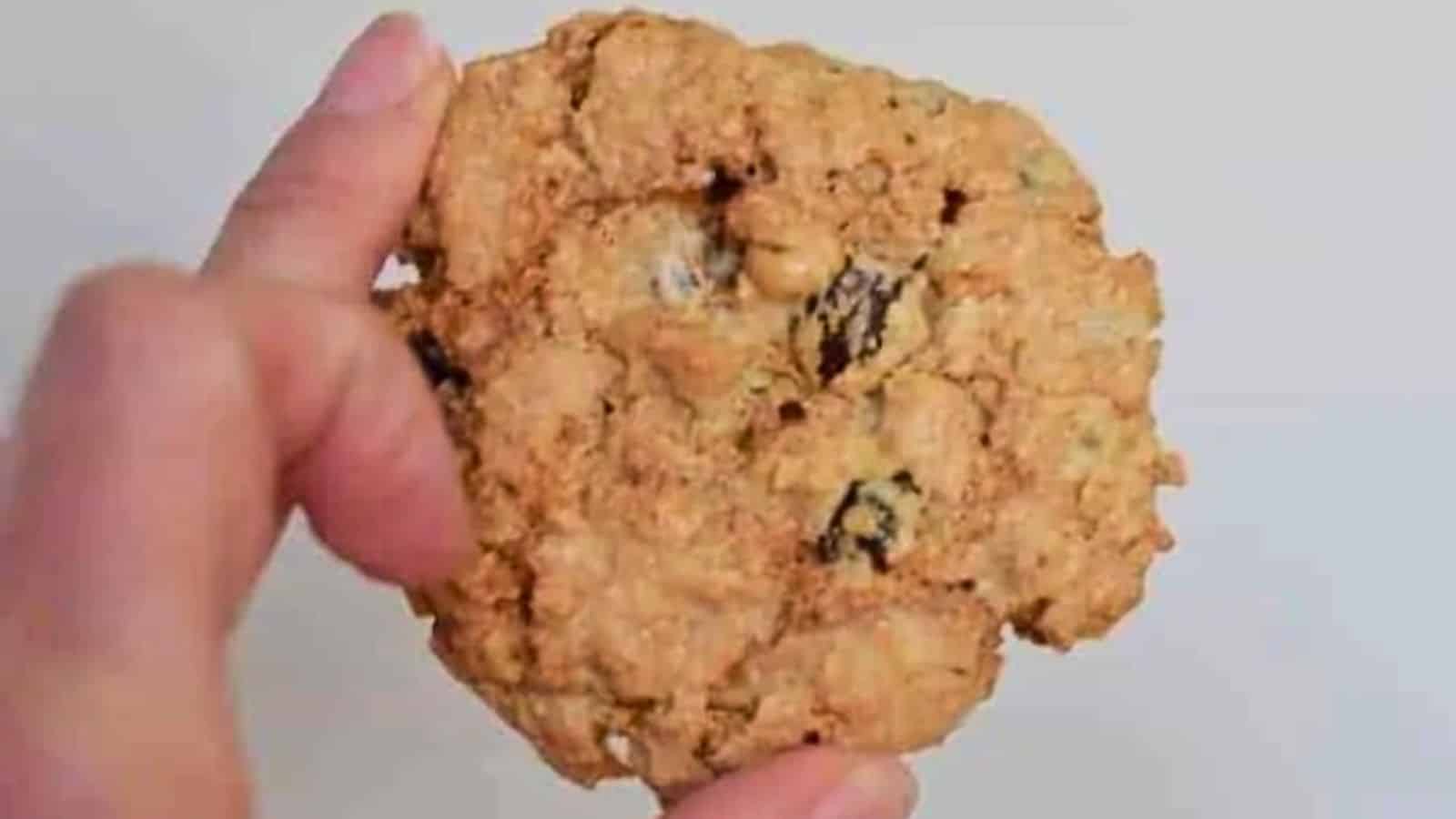 Image shows a person holding up a classic oatmeal raisin cookie in front of a white wall.
