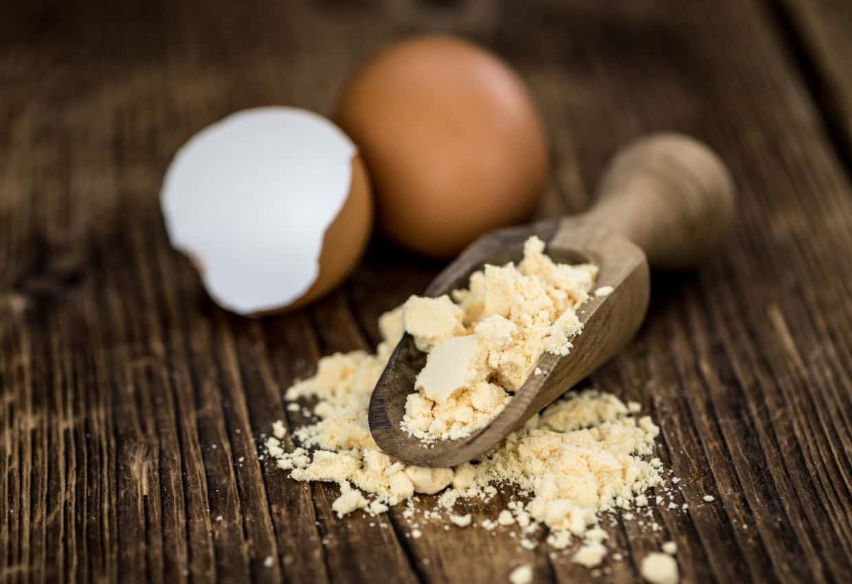 A spoonful of powdered eggs and an egg on a wooden table.