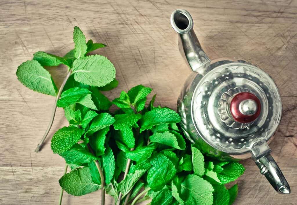A teapot with mint leaves on a wooden table.