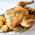 Roasted herbes de provence chicken with thyme and lemon slices on a white plate.