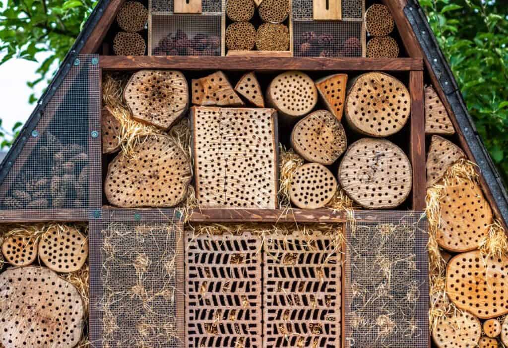 A house made out of beetles and hay.