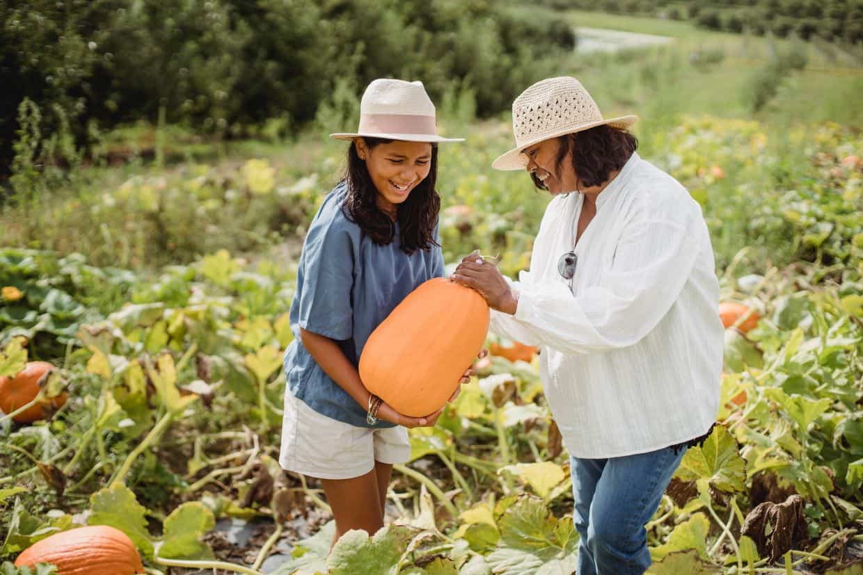Two women picking pumpkins in a field.