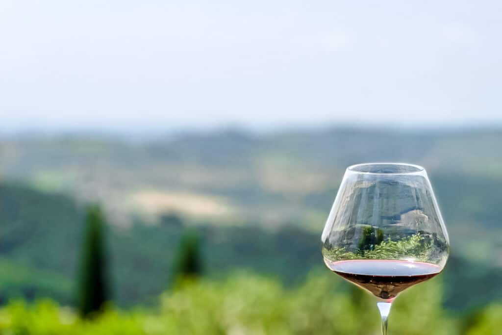 A wine glass with a view of a vineyard.