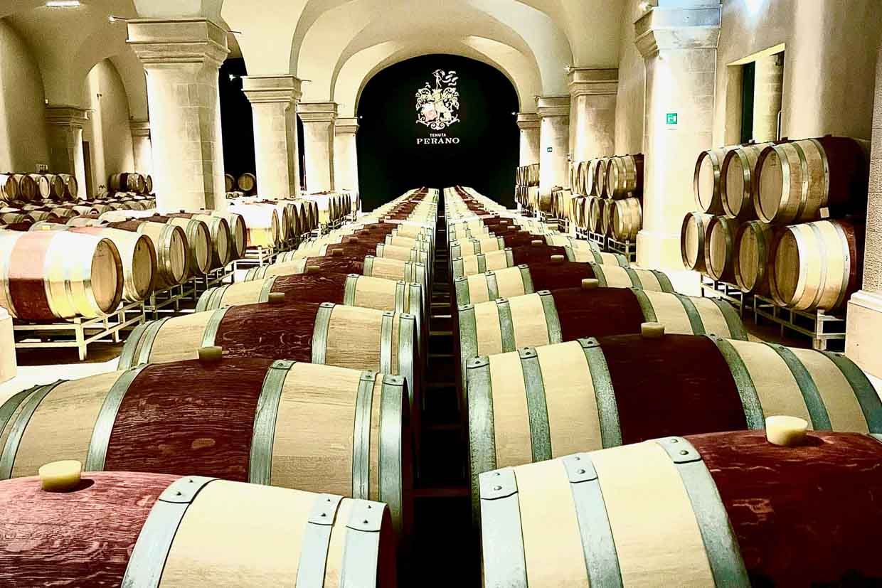 The best vineyards and wine tours in Tuscany