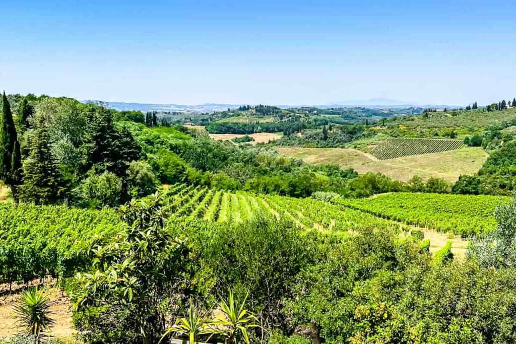 A view of a vineyard in Tuscany.