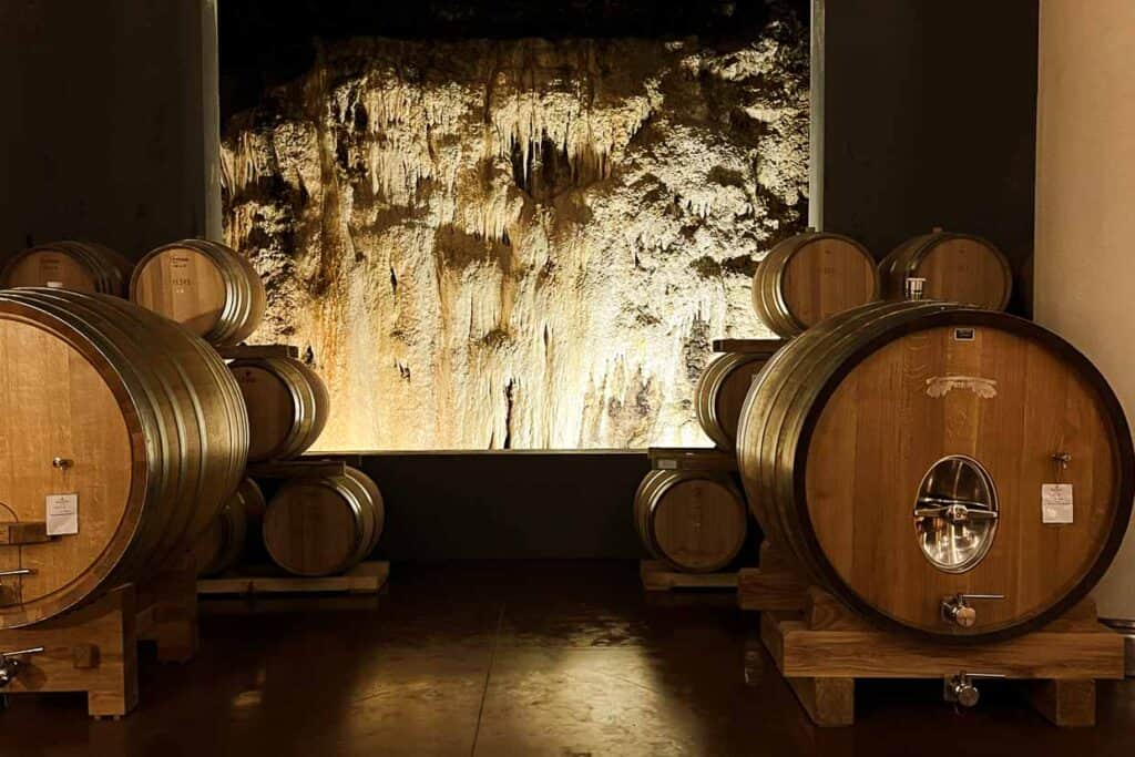 A wine cellar with wooden barrels in front of a waterfall.