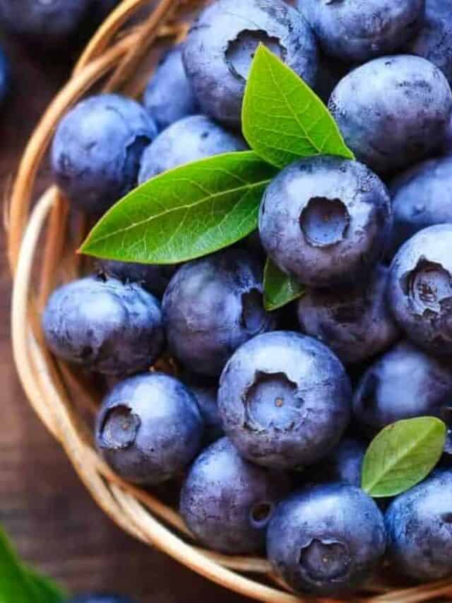 How to Freeze Blueberries