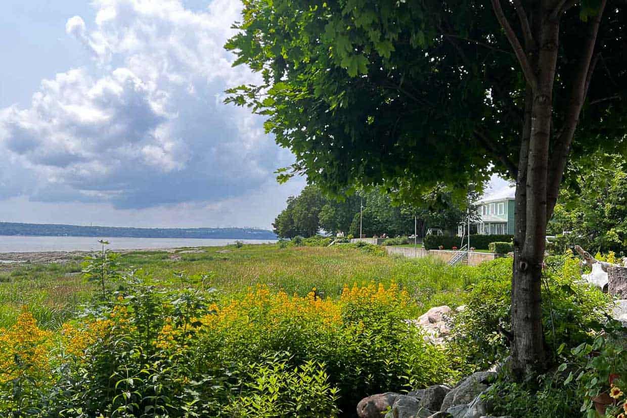 Scenic outdoor attraction offering greenery, trees, flowers and a water body in Québec City.
