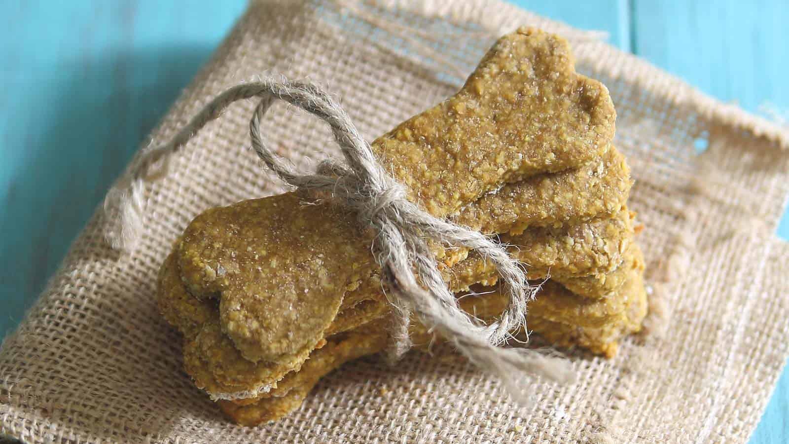 Pumpkin peanut butter dog treats in the shape of a dog biscuit tied with twine on burlap.