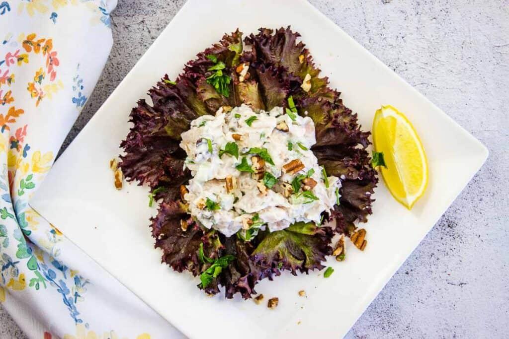 A white plate with chicken salad on red lettuce leaves.