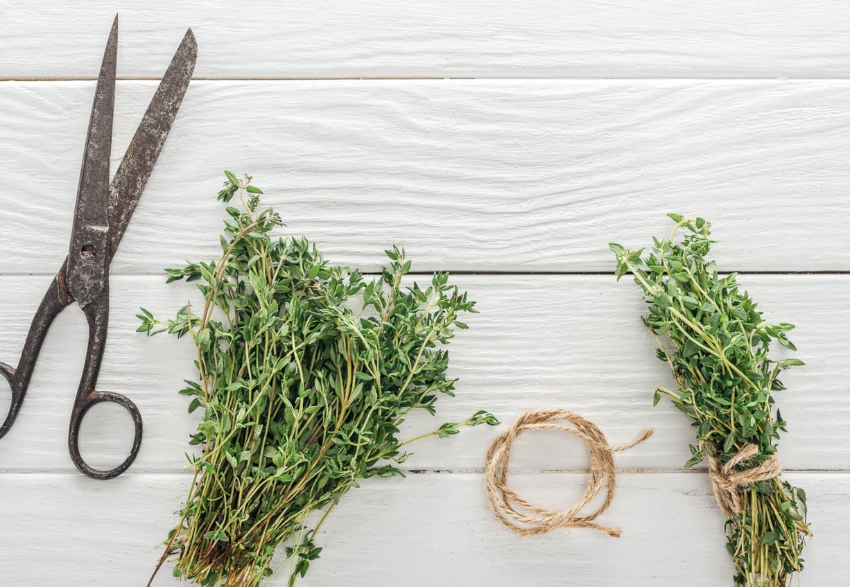 A pair of scissors and a bunch of thyme on a white wooden table.