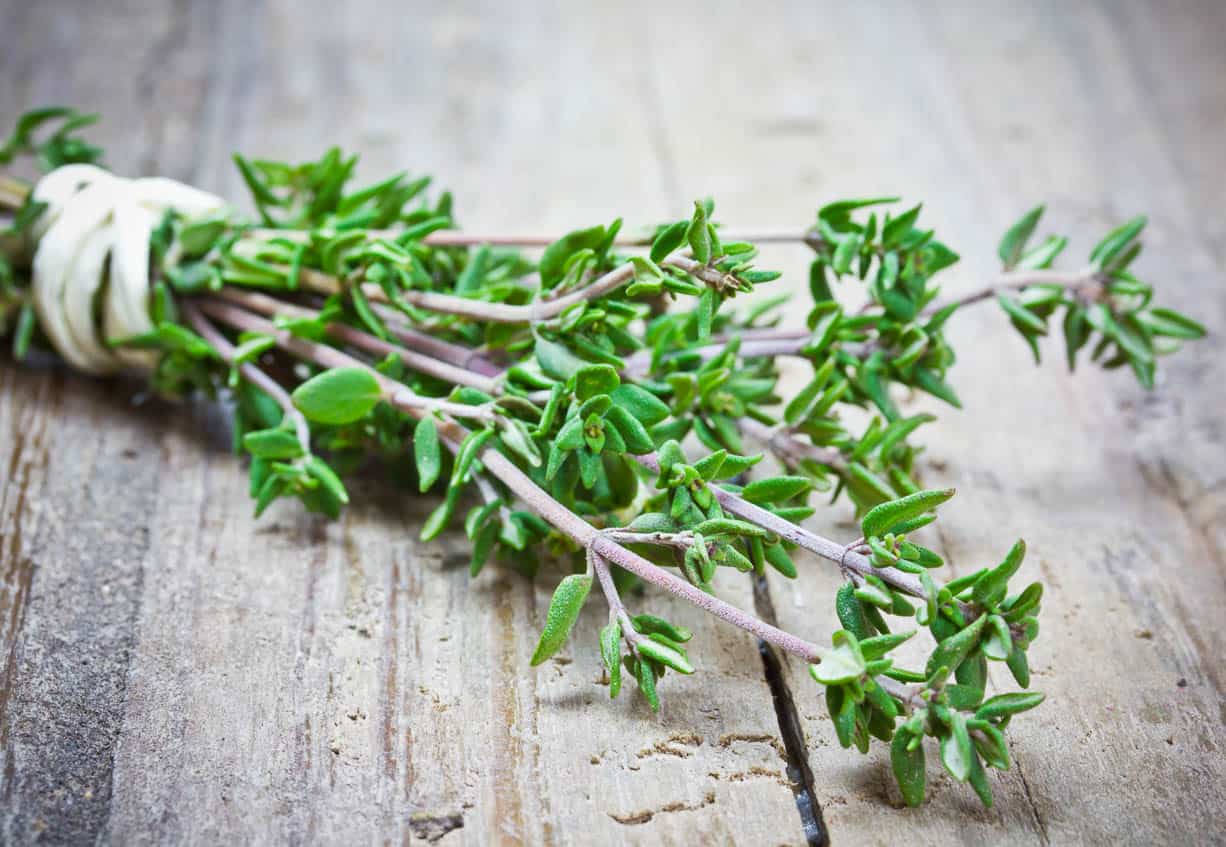 A bunch of thyme on a wooden table.