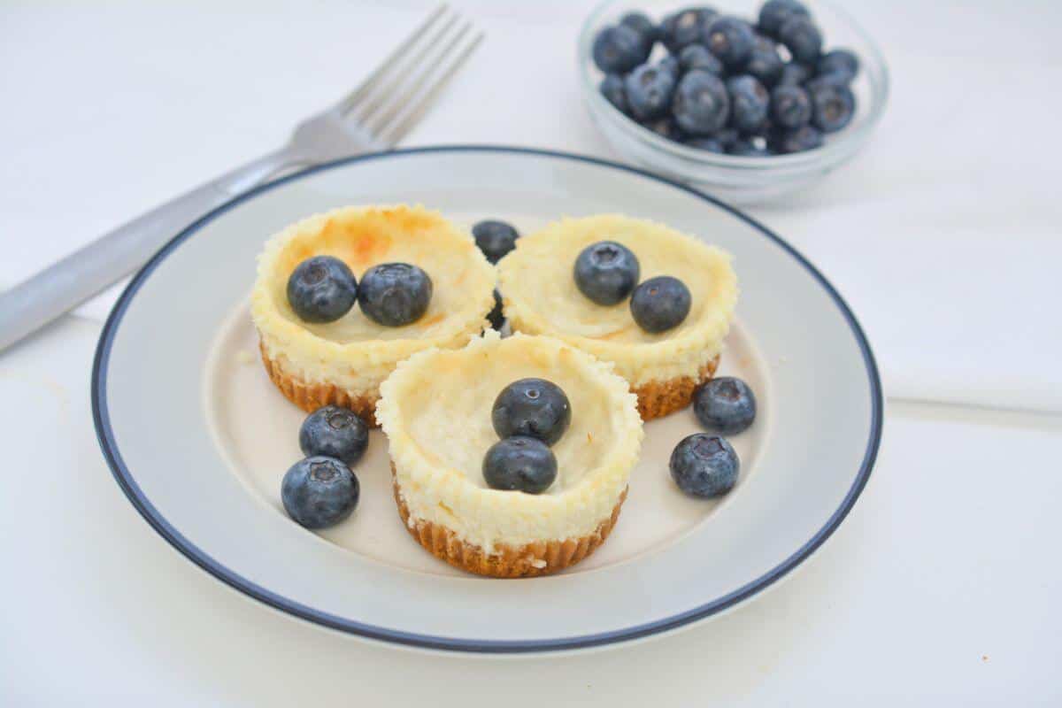 Blueberry cheesecakes on a plate with blueberries.