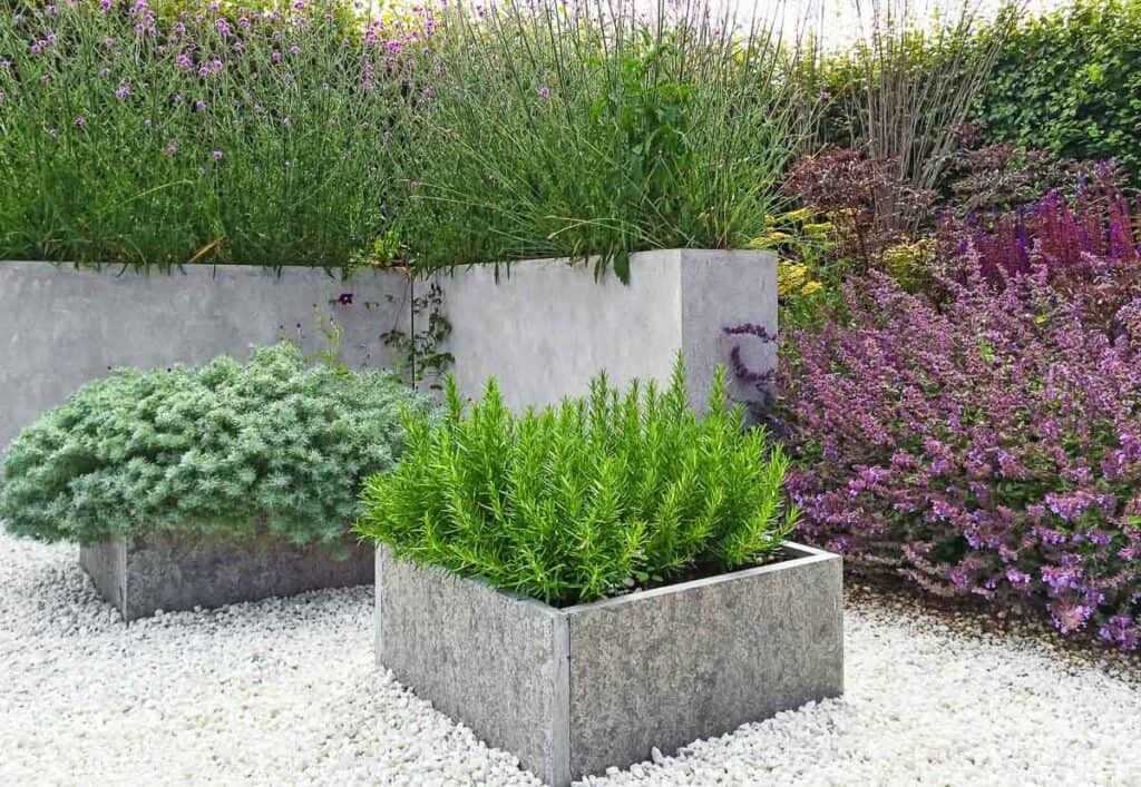 A garden with plants and gravel in a concrete planter.