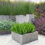 Rectangular concrete planters with rosemary and other green and purple plants are arranged on a white gravel ground in a modern garden setting.