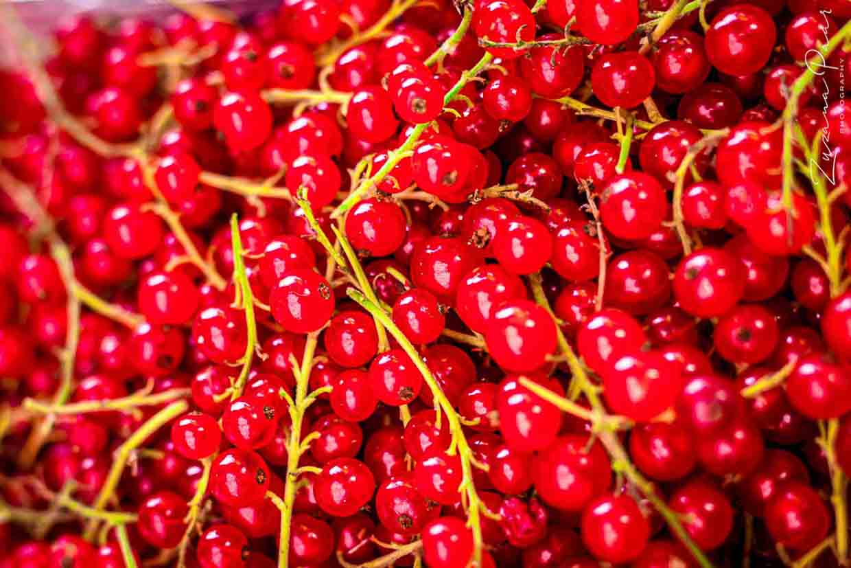 A pile of red currants on a table.