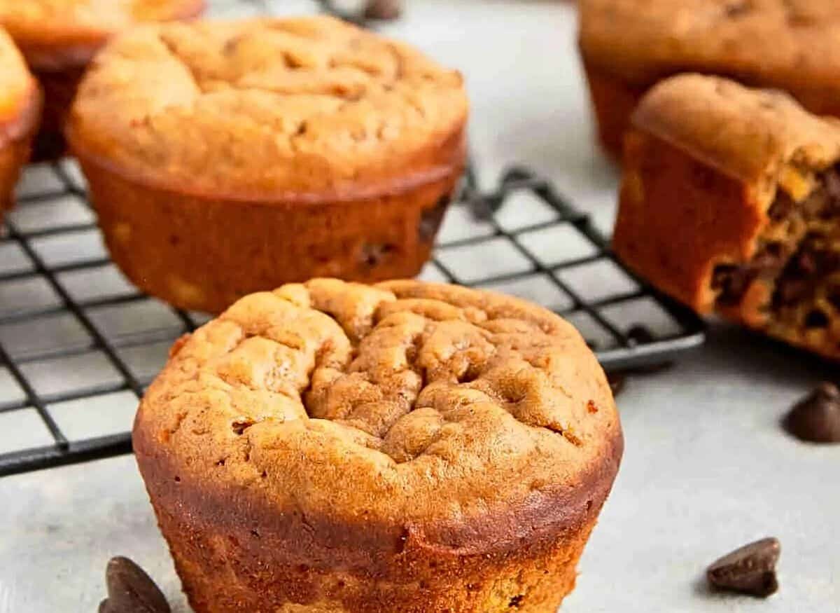 Pumpkin protein muffins on a black cooling rack with one muffin a bite out of it and chocolate chips around it.