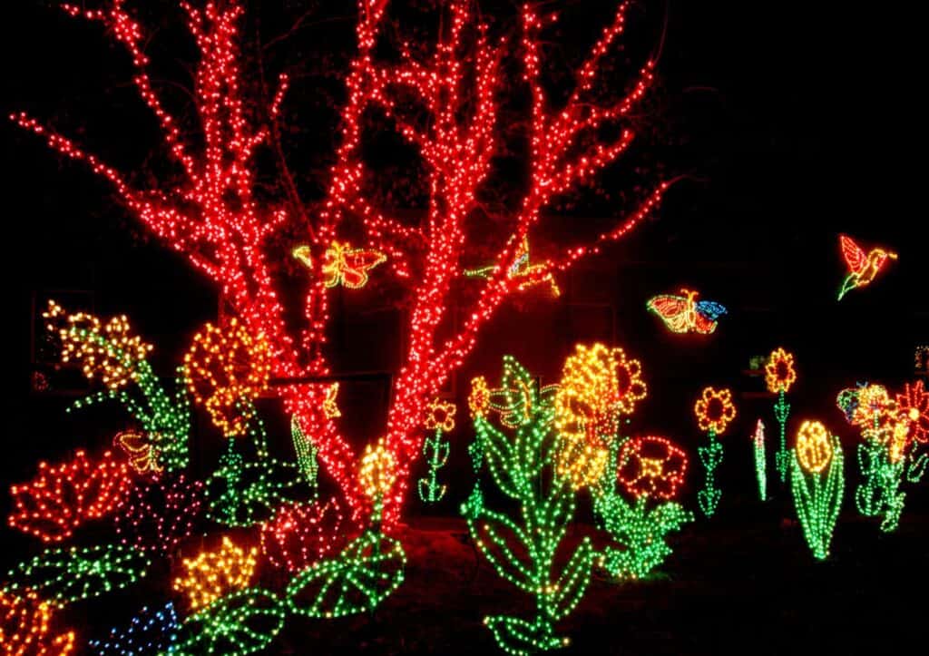 A vibrant array of lights at the Riverbanks Zoo in South Carolina.