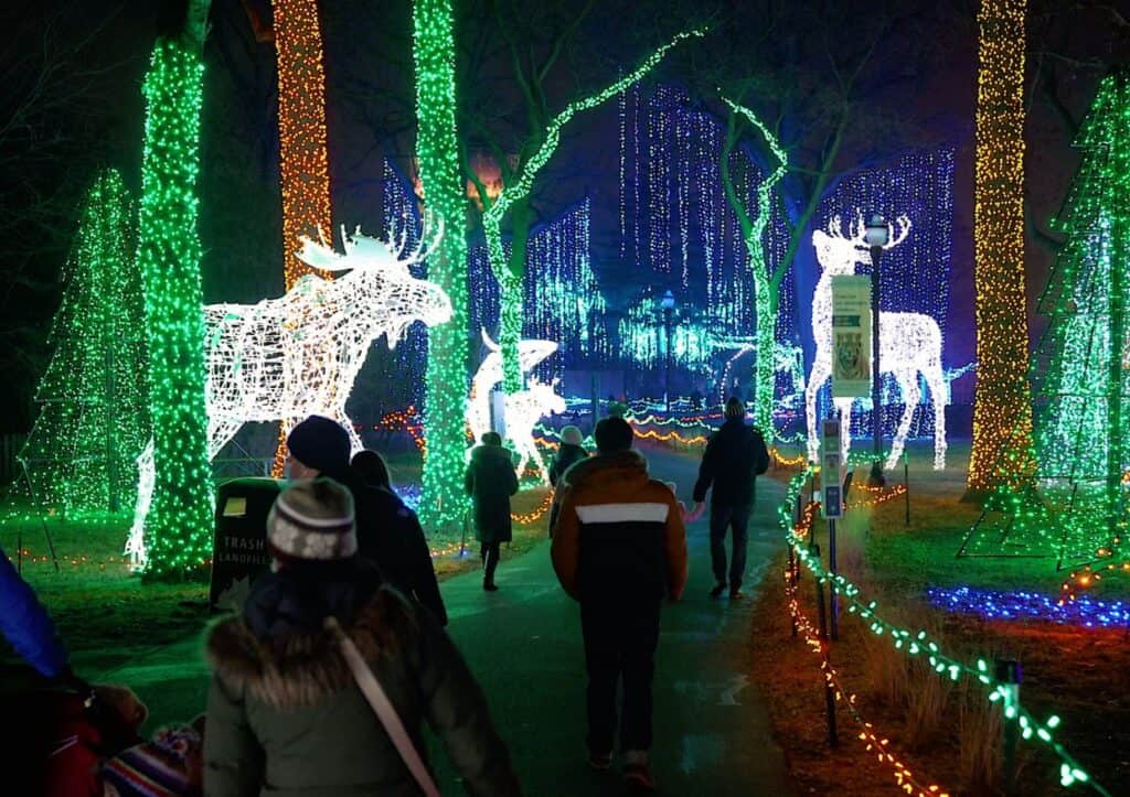 A group of people strolling through the Detroit Zoo aglow with festive zoo lights.