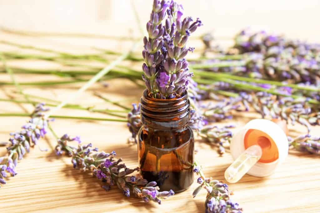 Fresh lavender inside an essential oil bottle on a wooden table.