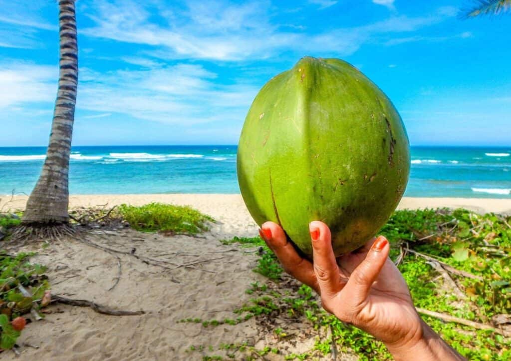 A woman is holding a coconut on the beach.