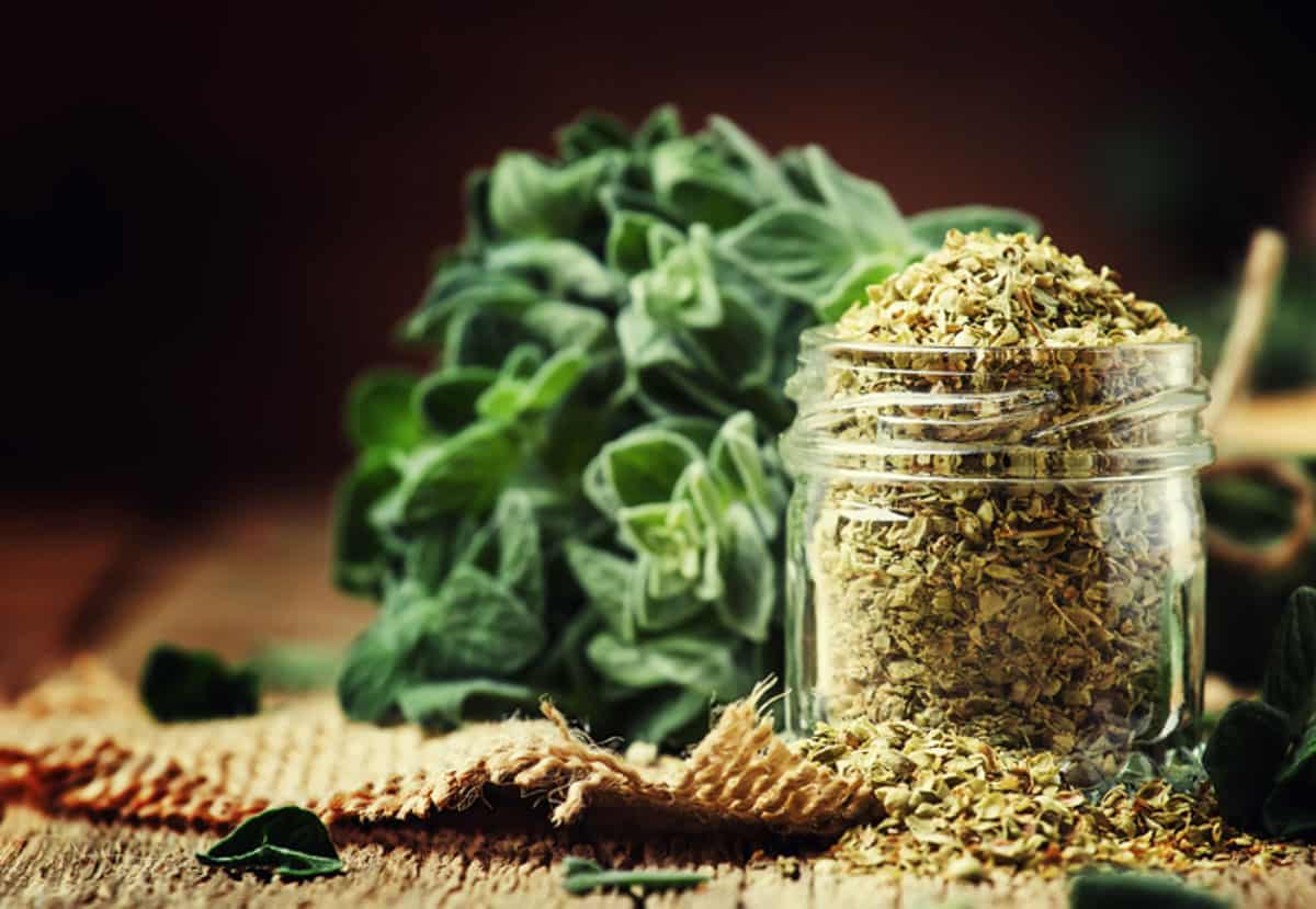 Dried oregano in a glass jar on a wooden table.
