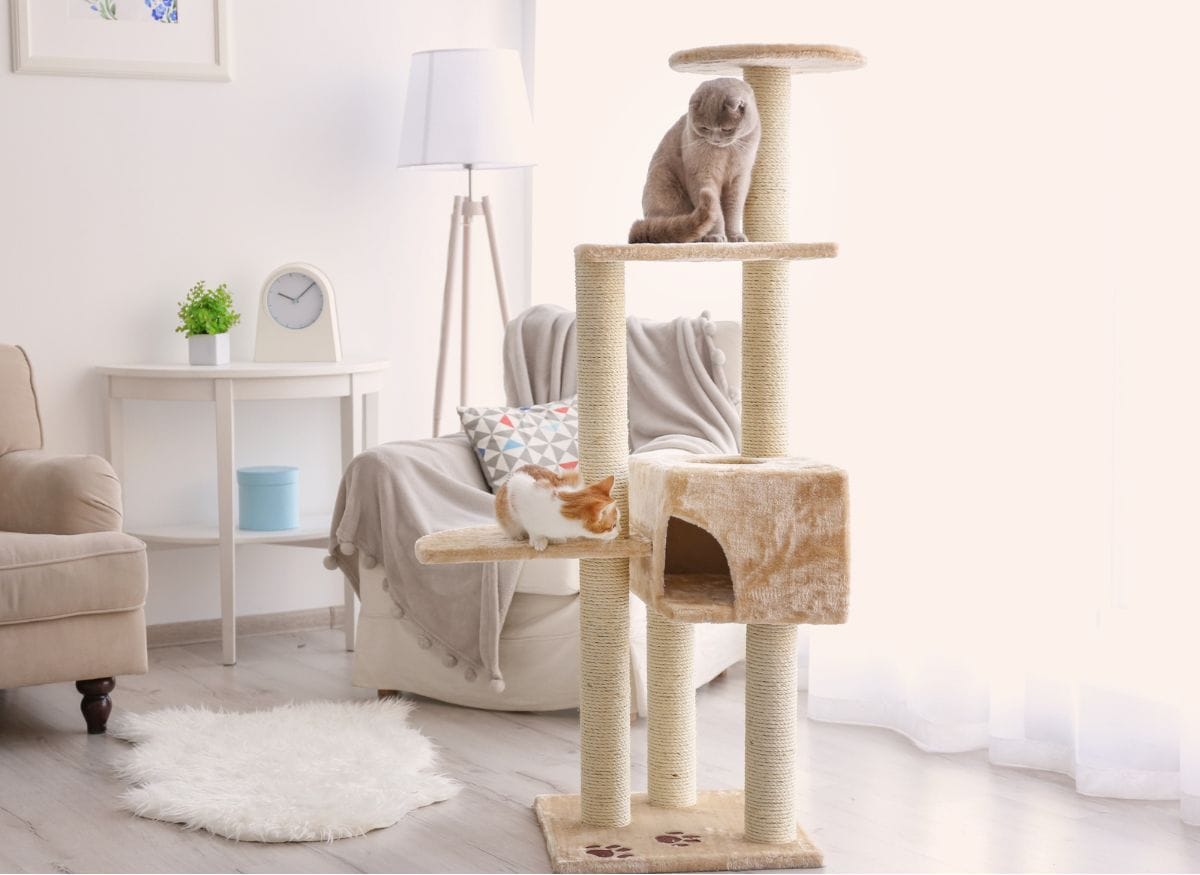 A cat on a tall cat tree with scratching posts.
