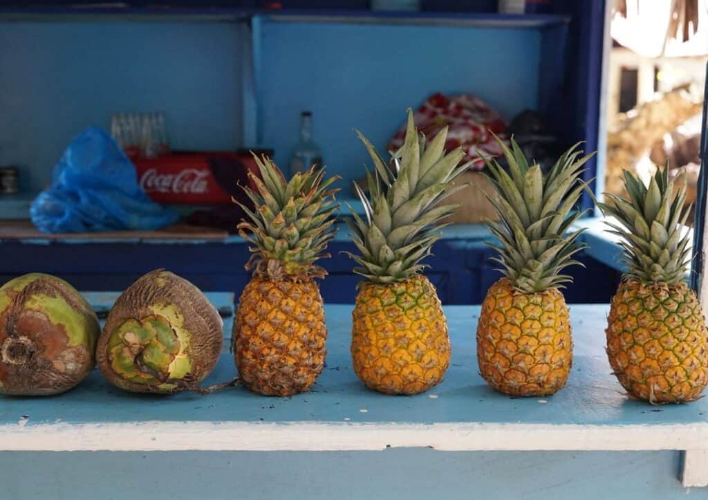 A row of pineapples and coconuts on a counter.