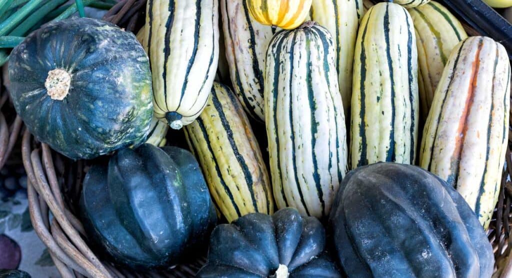A wicker basket filled with a variety of squashes.